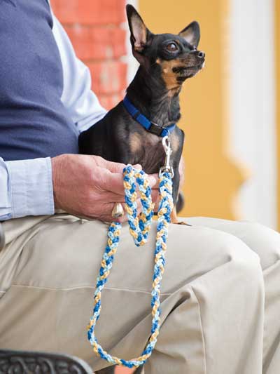 Chain-Stitch Dog Leash